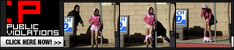 publicviolations.com free pass 
